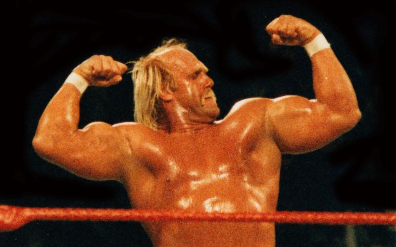 hulk hogan pm.jpg