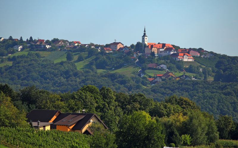 cg_socialna_slovenske_gorice_2.jpg