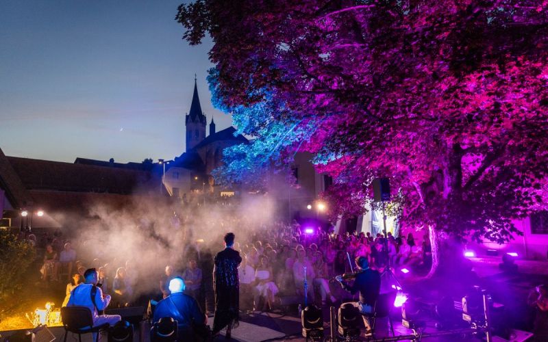 festival-novomesko-poletje-2025