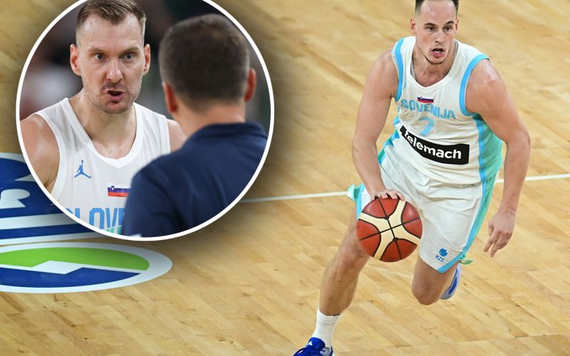 prepelic dragic sekulic.jpg