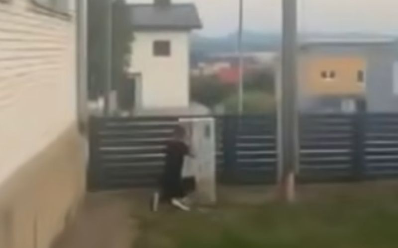 storklja.jpg