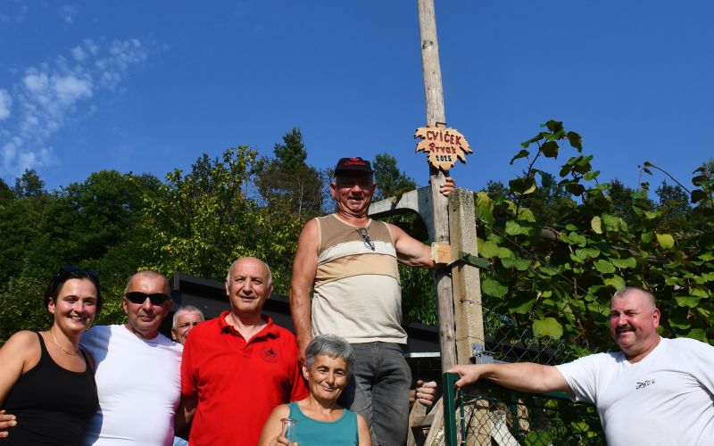 klopotec, ljuben, vinograd