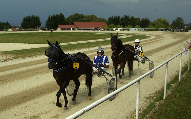 sentjernej, konj, kasastvo, 140-let