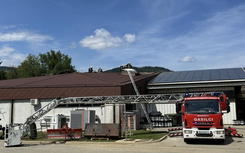 požar, dobrava, radlje ob dravi