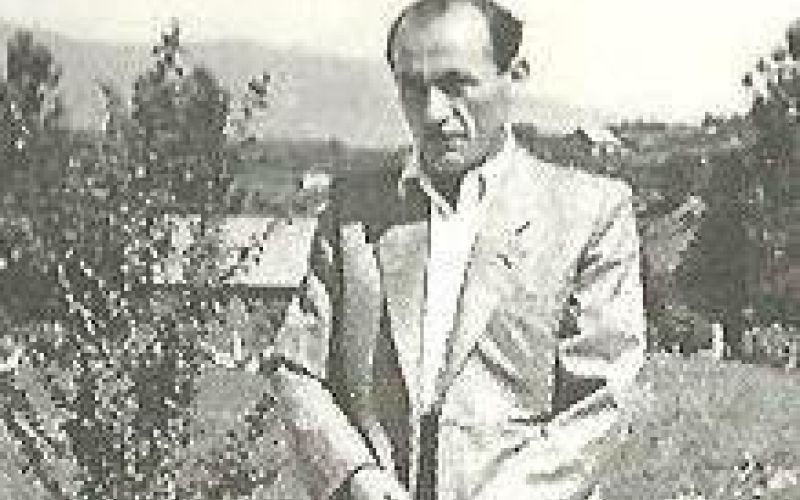 Alojz Mihelčič.jpg