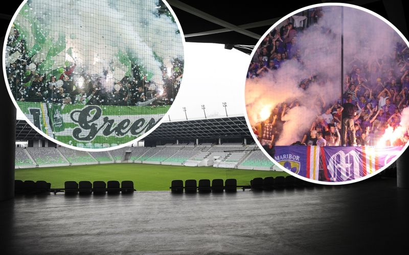 stozice dragons viole.jpg