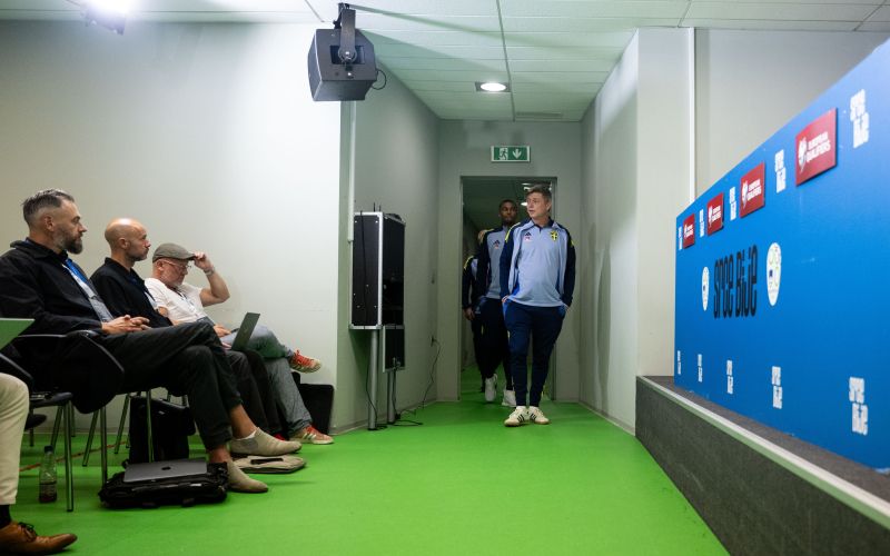 Jon Dahl Tomasson, selektor Švedske