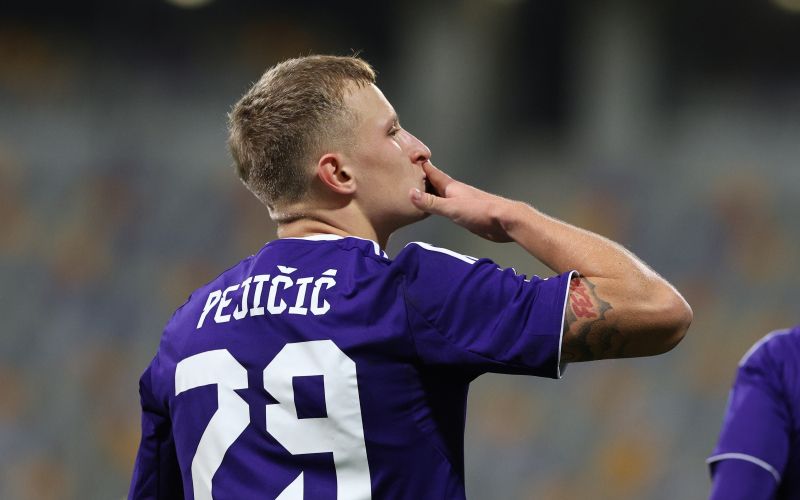 david pejicic.jpg