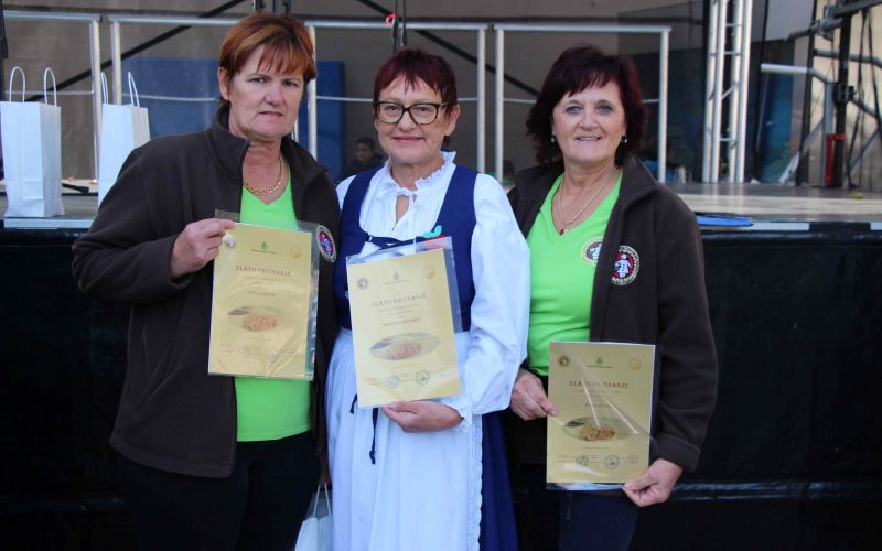 praznik-topliskega-jabolka-2025, 10-drzavno-ocenjevanje-jabolcnih-zavitkov