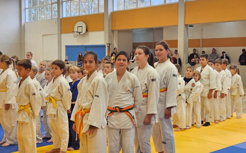 judo-klub-klima-center-tratnjek, turnir, ptuj, mini-liga