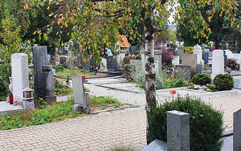 grob naslovna-nov22.jpg