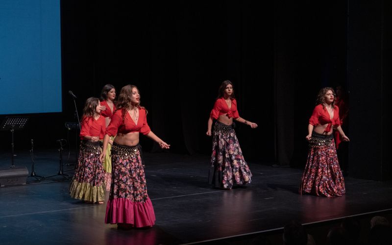 društvo-romani-union-murska-sobota