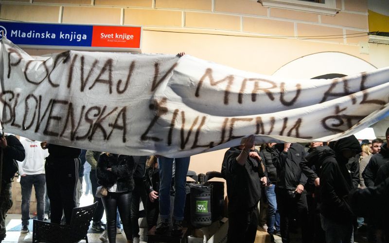 protest novo mesto romi.jpg