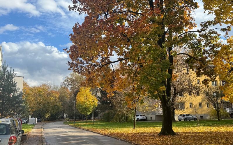 Malgajeva ulica - Na Otoku v Celju