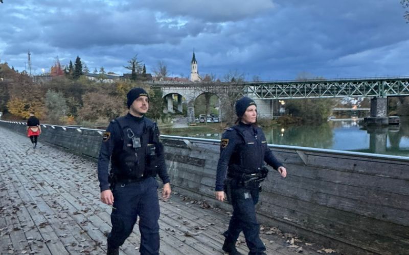 policija, patrulje, novo-mesto