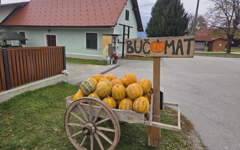 EK_buce starosinci.jpg