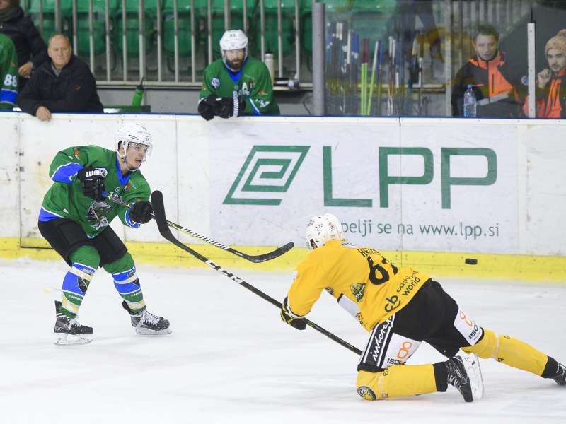 slika novice