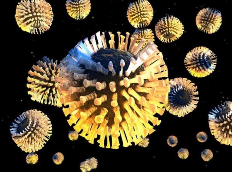 uvodna