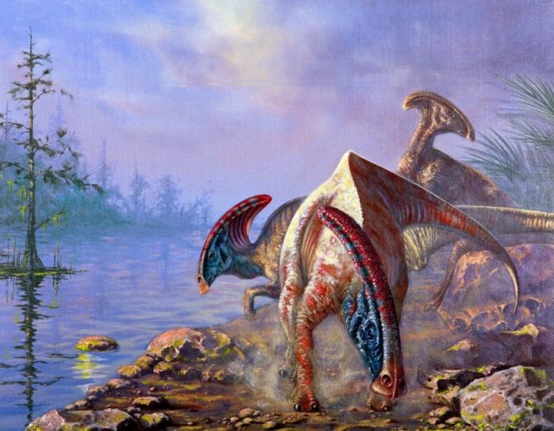 uvodna