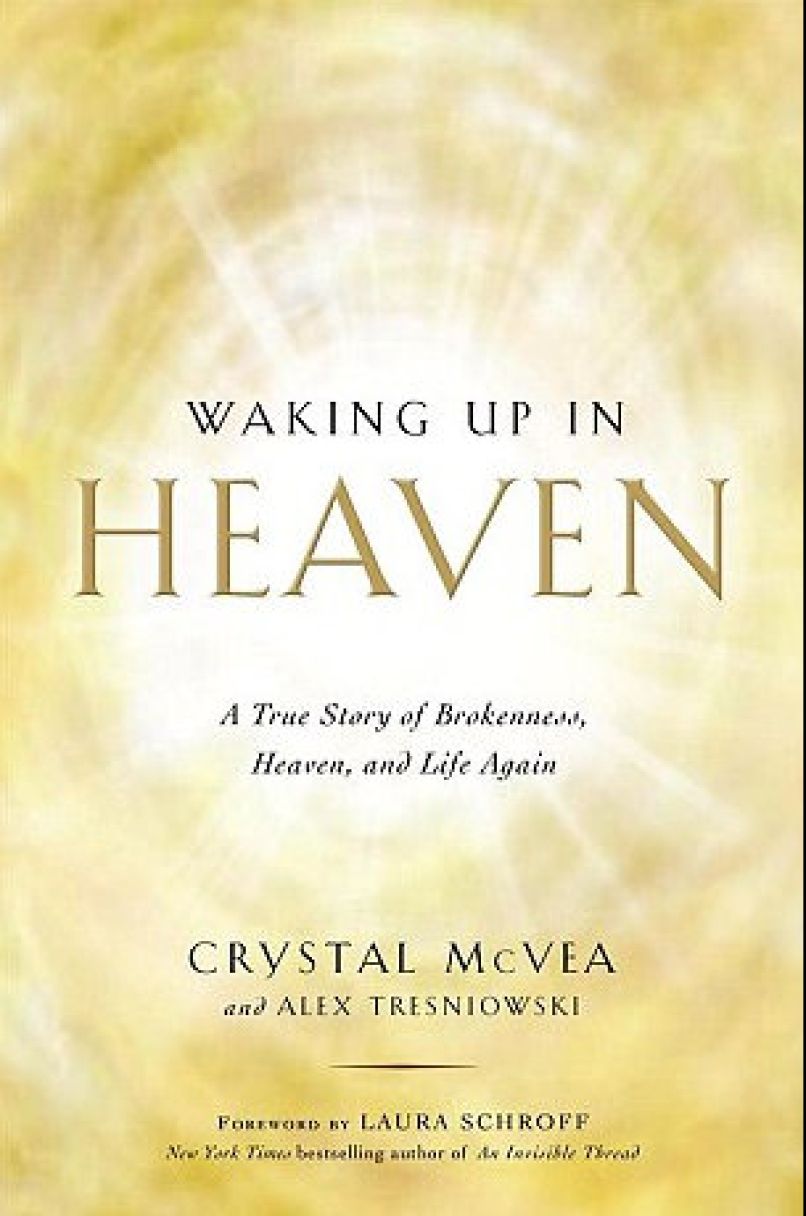 Knjiga Waking up in Heaven