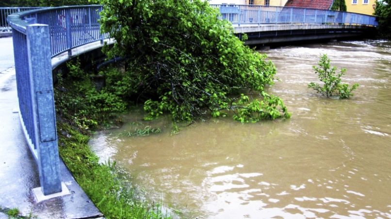 Hudournik