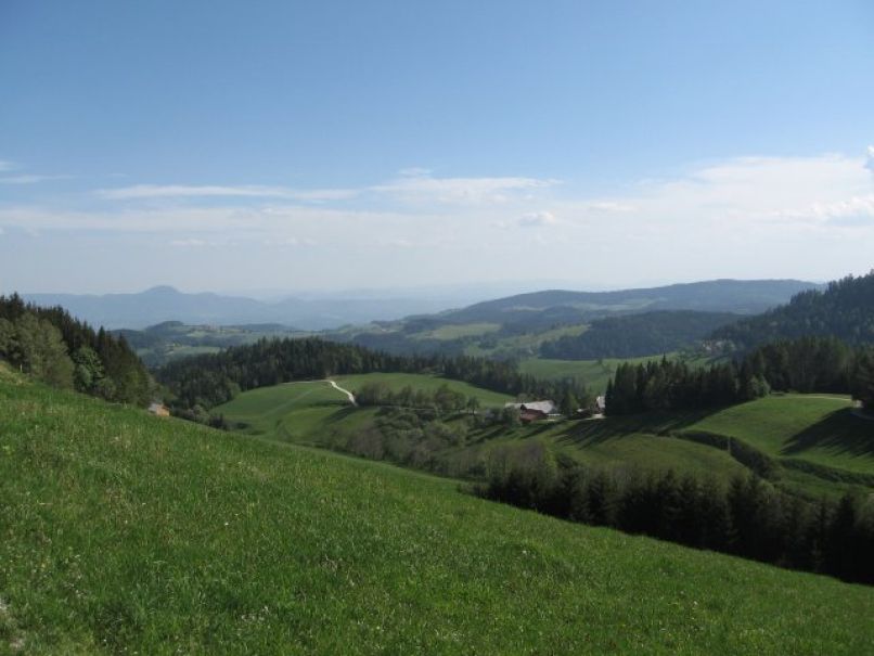 uvodna