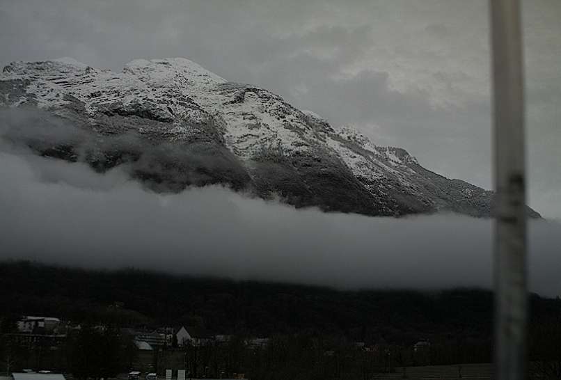 siwc_BOVEC_ne_latest