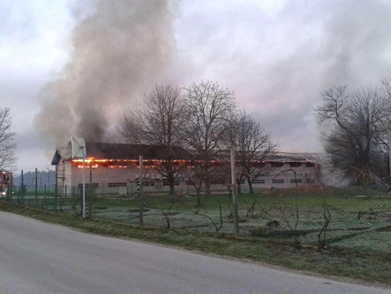 požar njeverce