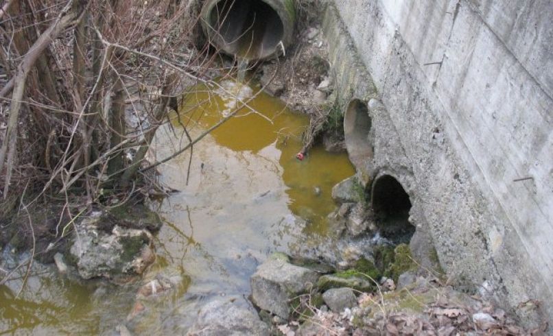 uvodna