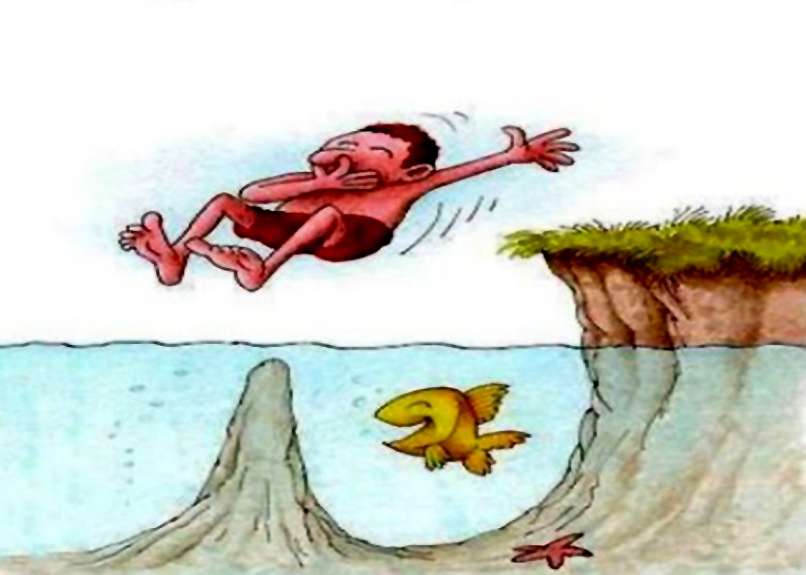 48_karikatura1