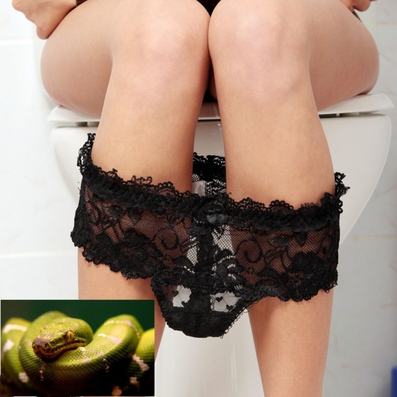 stranišče
