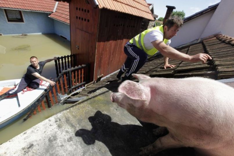 poplave bosna hrvaška srbija