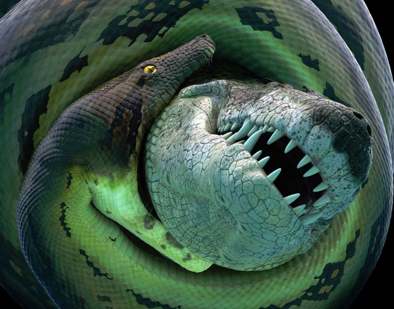 Titanoboa