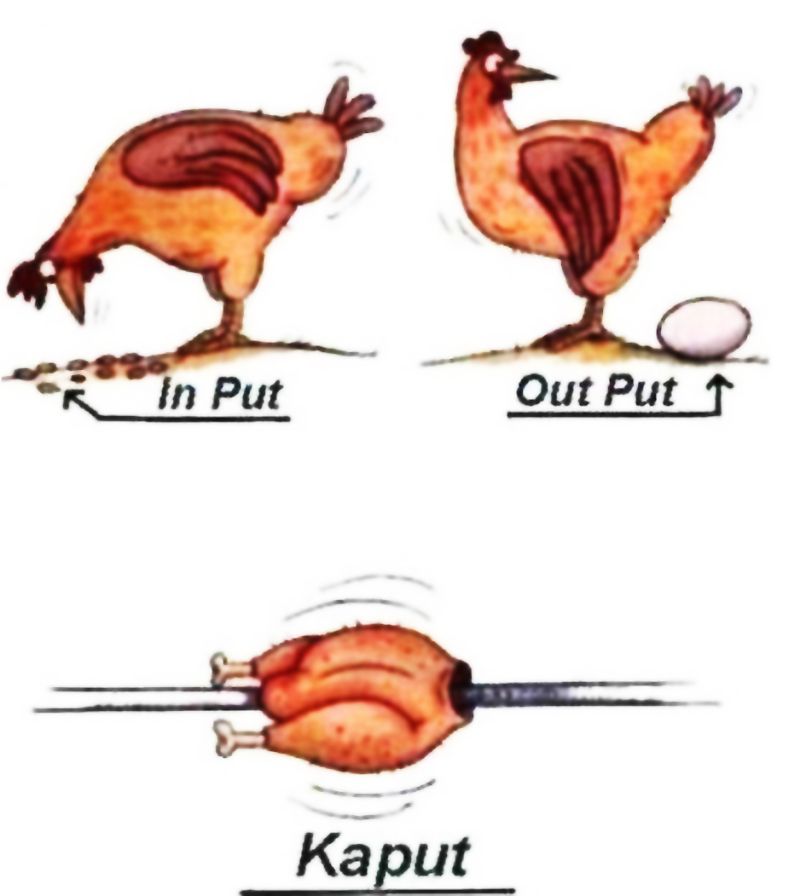karikatura3