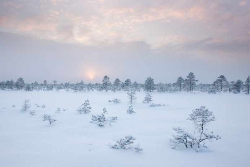 estonia sneg