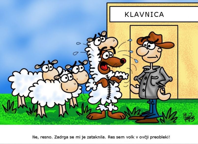 karikatura