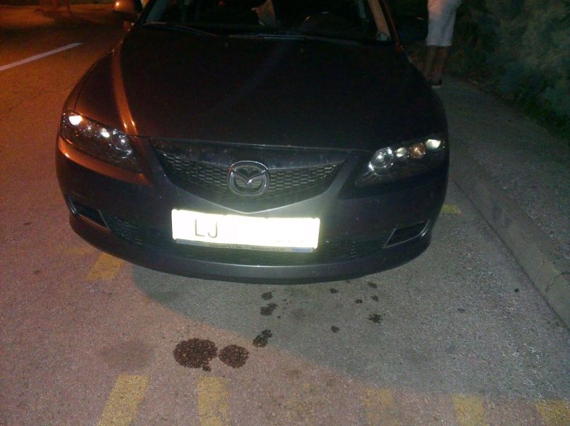 mazda