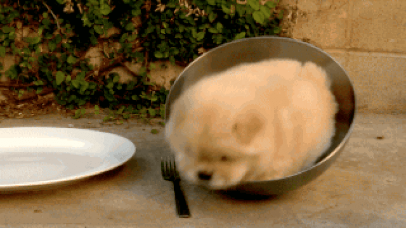 anigif_enhanced-buzz-9101-1405461415-11