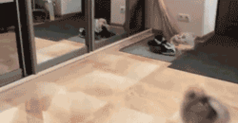 anigif_enhanced-buzz-13303-1405457777-4