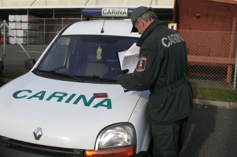 carina