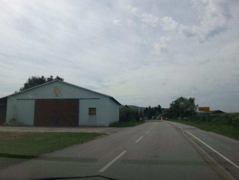 Piščanjčja farma