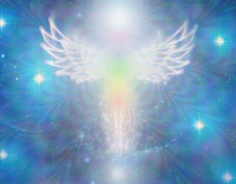 angeli