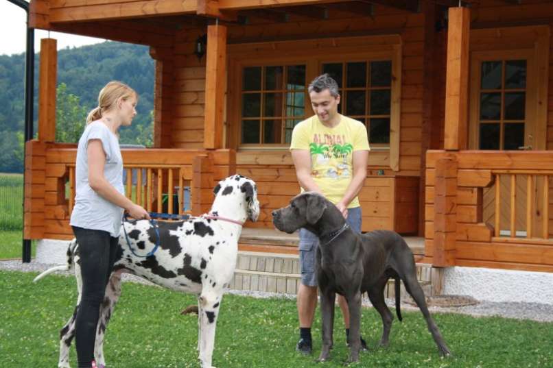 Urša in Tone, doge