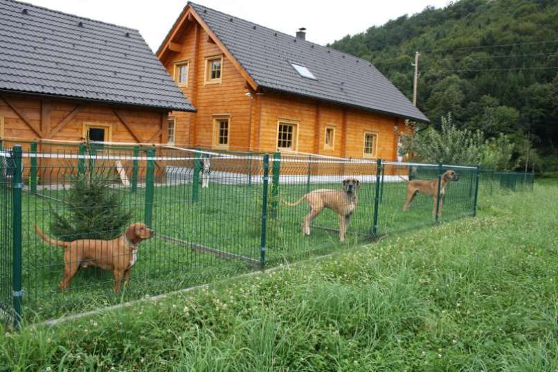 Pasji hotel, Artemida