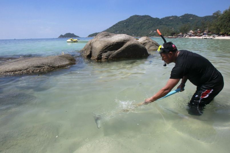 tajska, koh tao