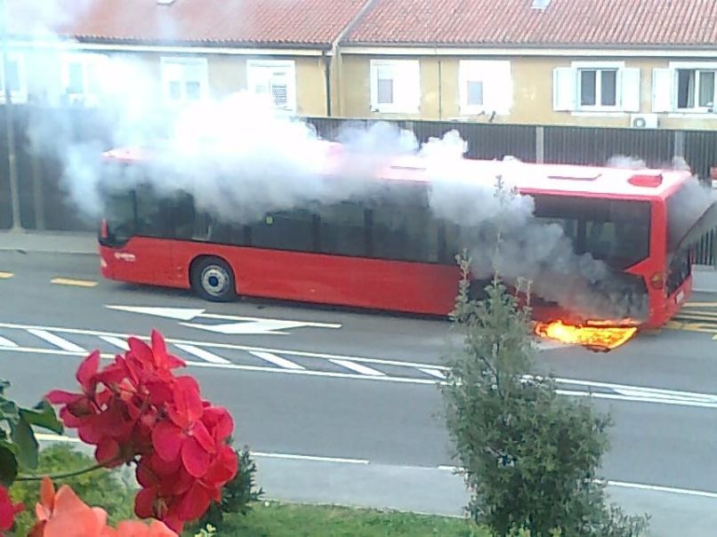 Avtobus, Koper 1
