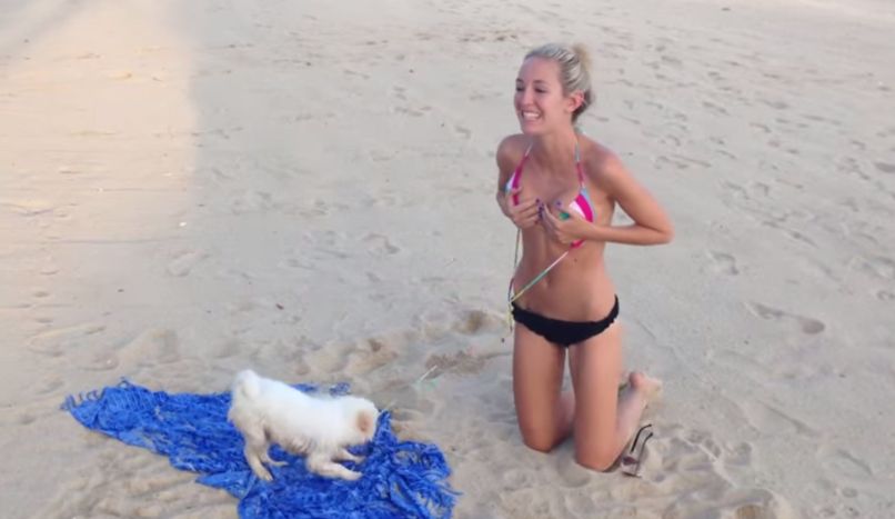 psicek bikini