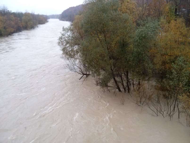 sava, narasla, črnuče