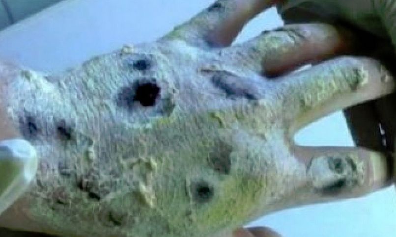 krokodil, droga