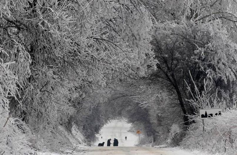 zima-sneg_re_26.01.14